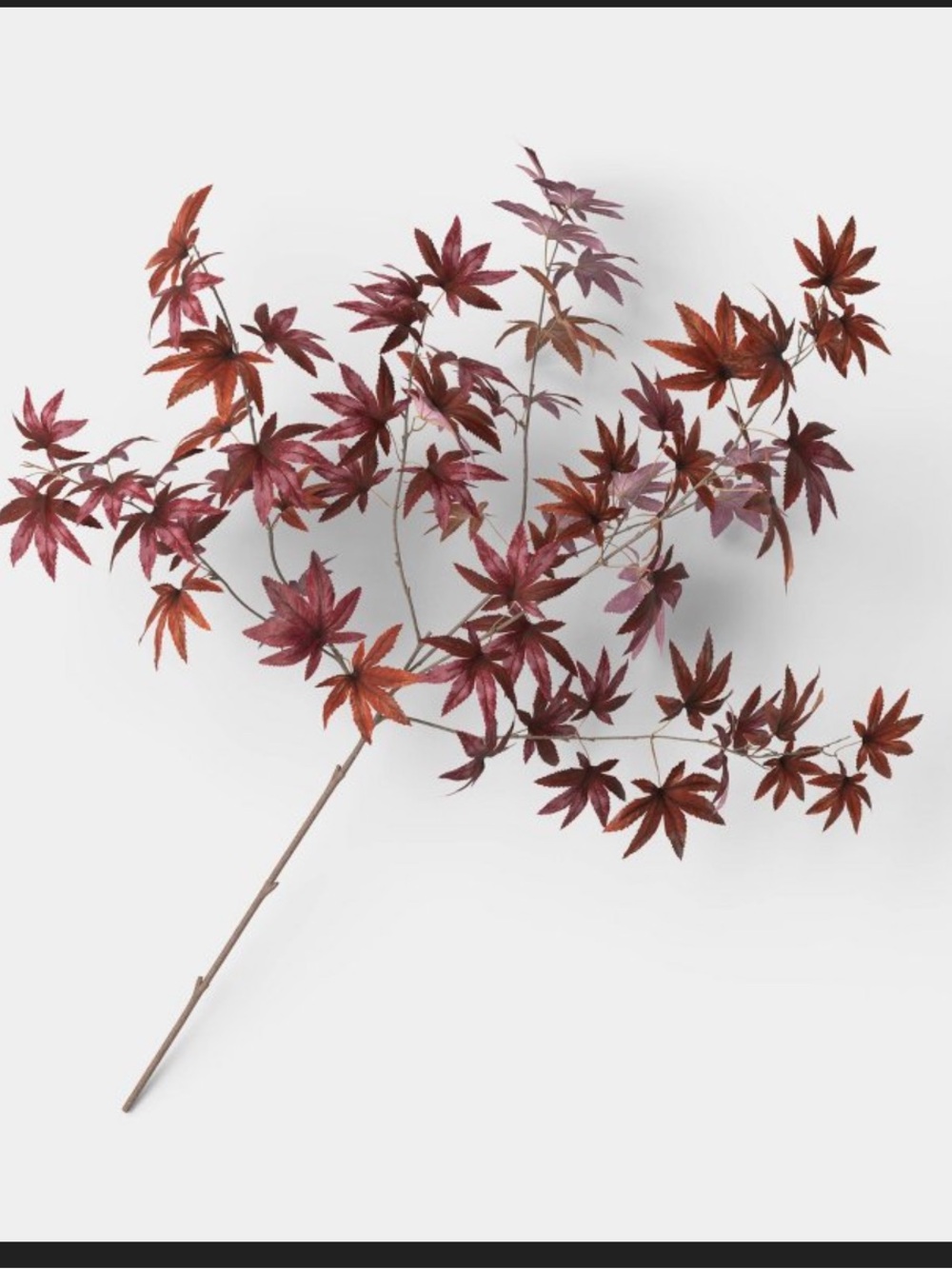 40" Japanese Maple Leaf Fall
Branch - Threshold™